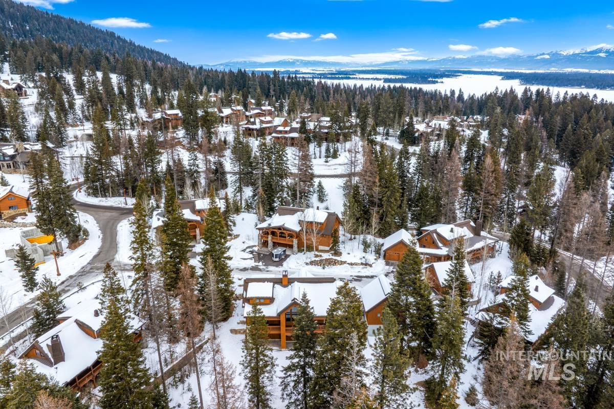 Aerial view of a forest and a mountain backdrop