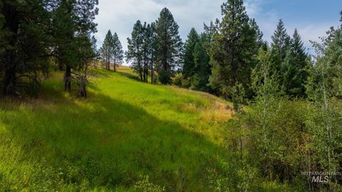 Photo of TBD Parkins Road, Moscow, ID 83843 (MLS # 98939760)