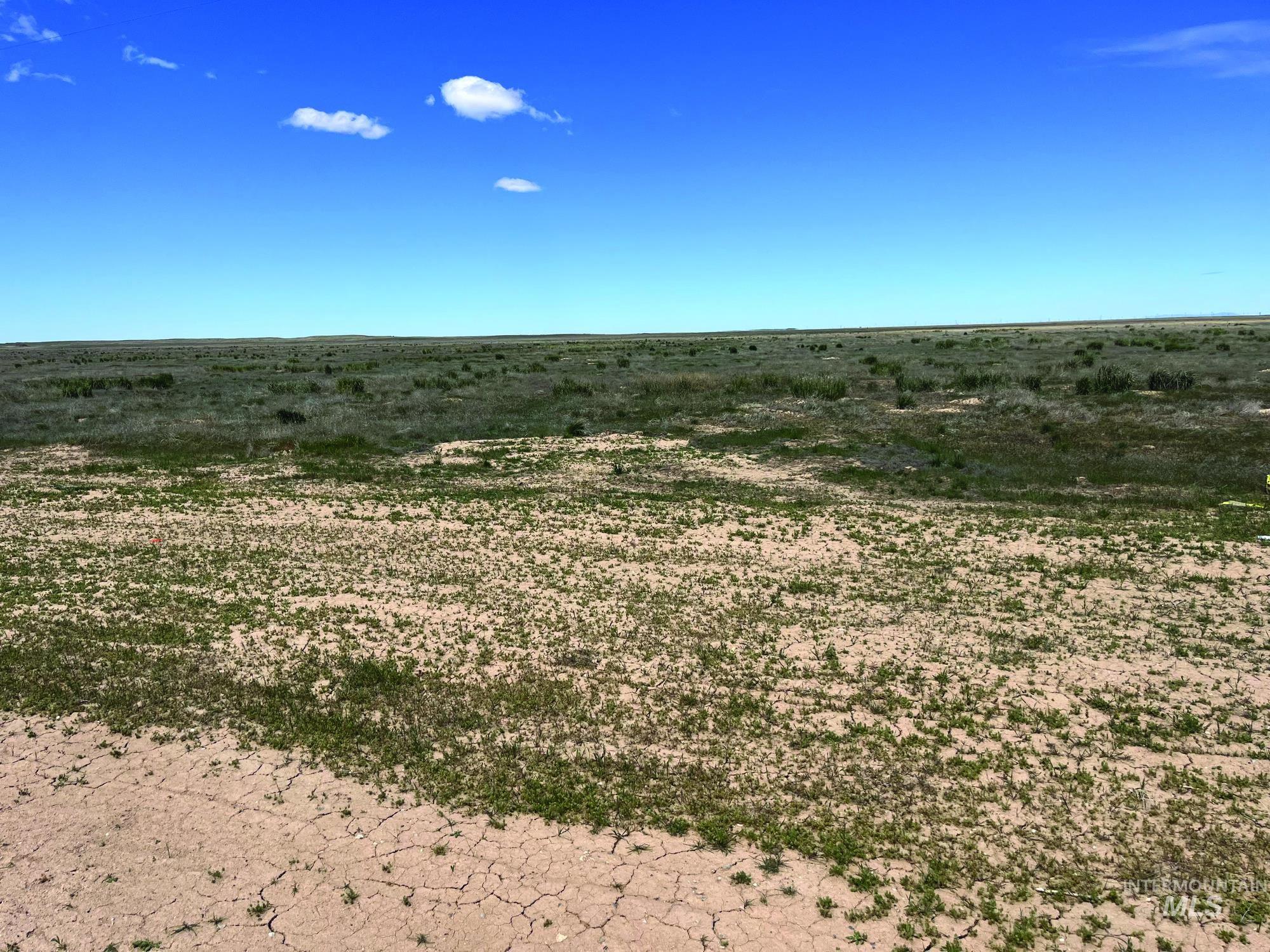 ±520 Acres Orchard Access Rd