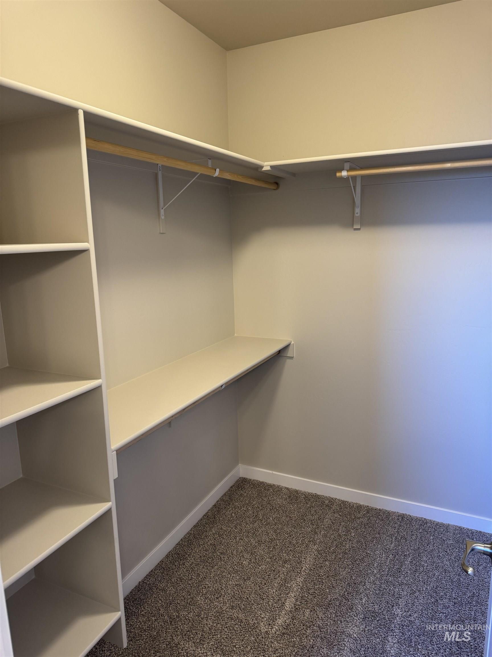 Walk in closet with dark colored carpet