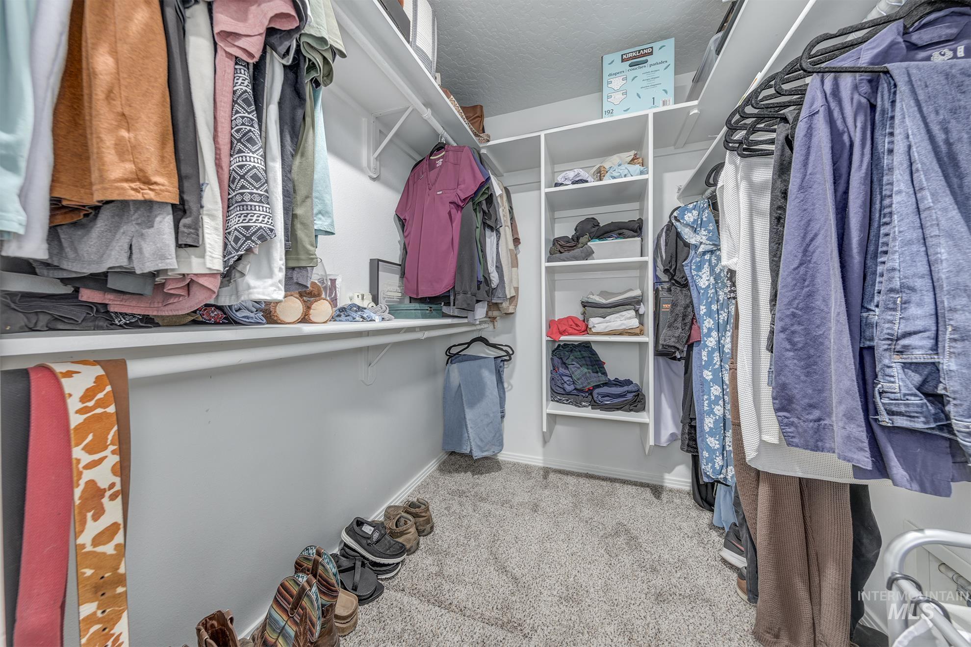 Spacious closet featuring light colored carpet