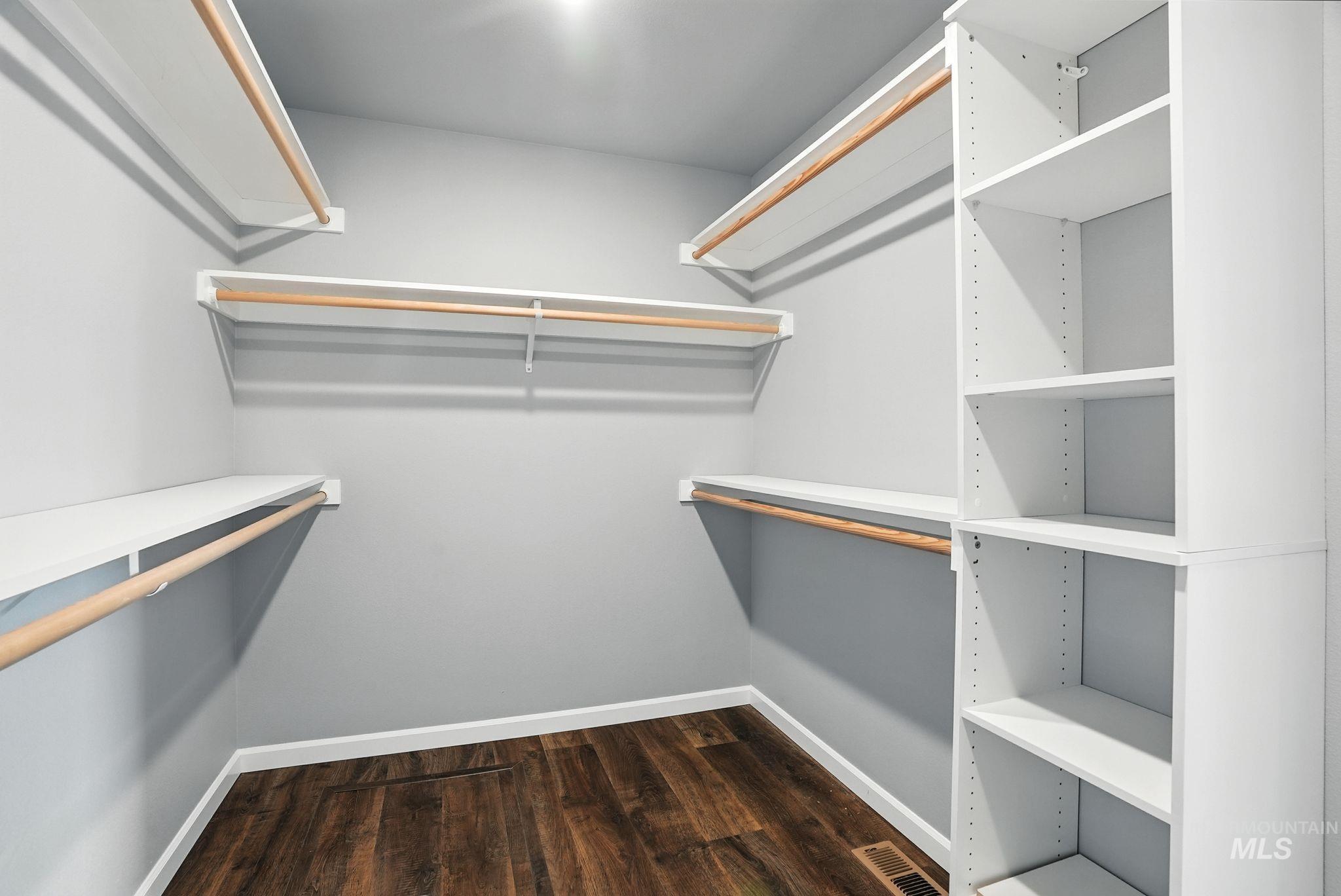 Spacious closet featuring dark wood finished floors
