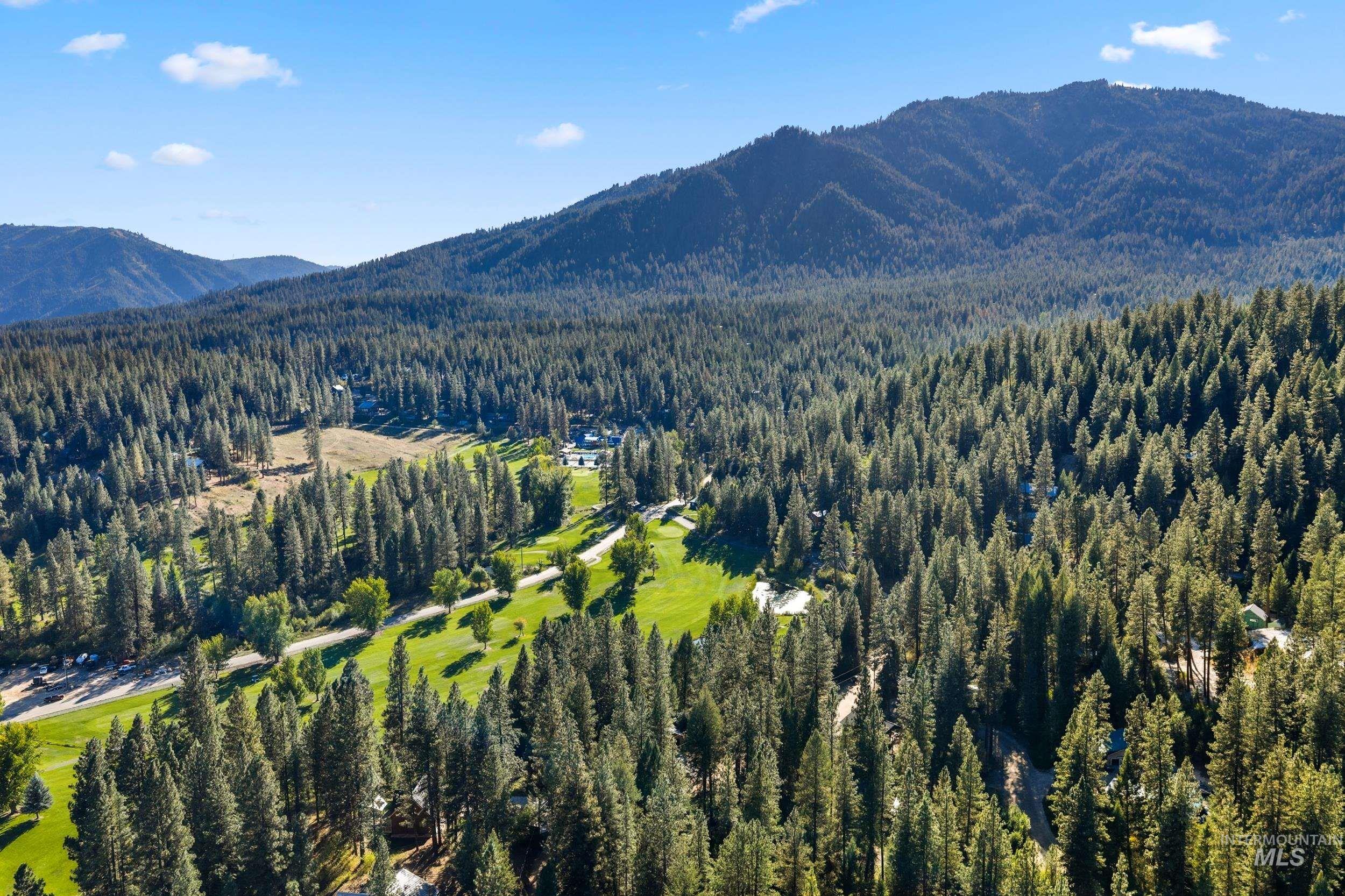 View of mountain background with a forest
