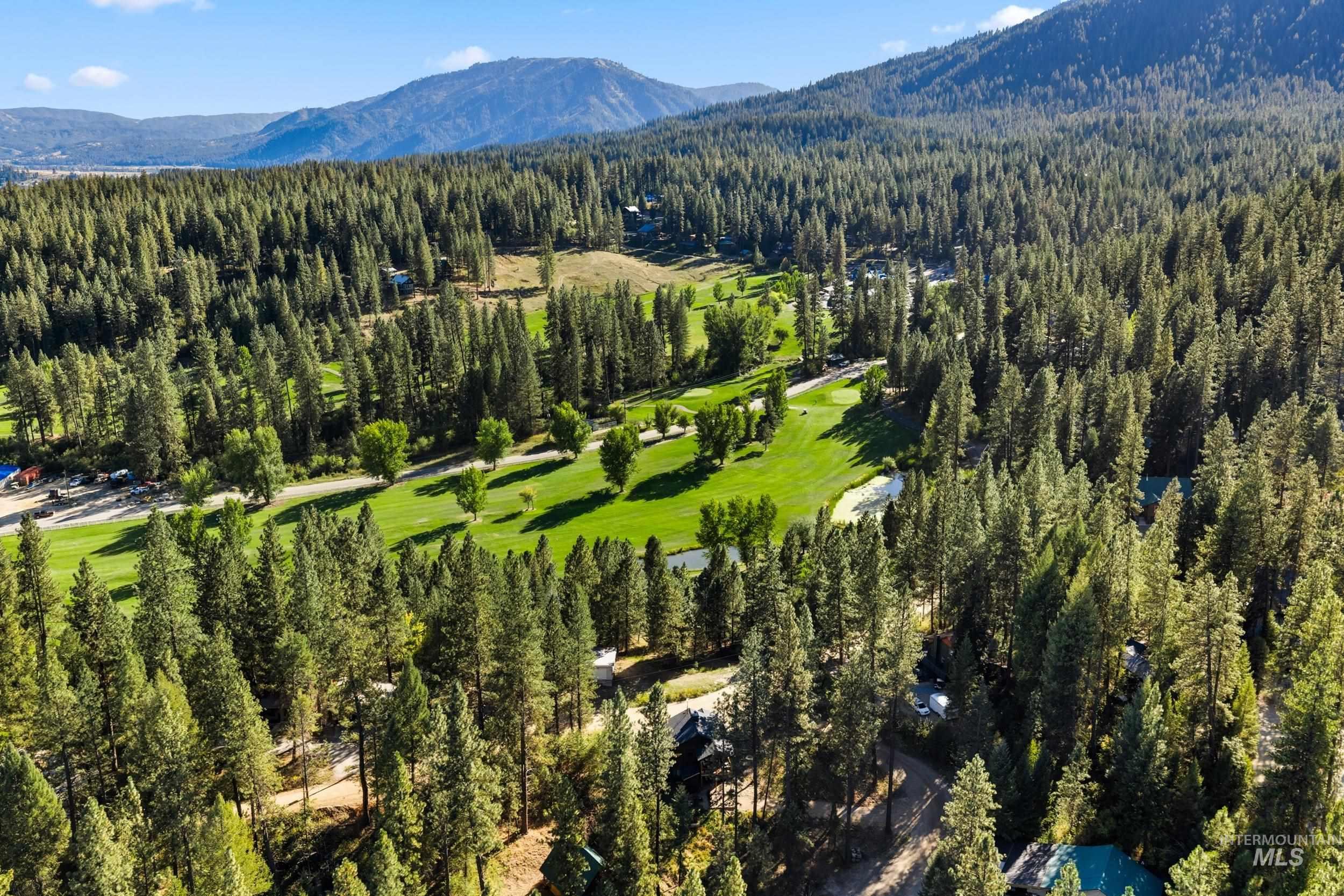 Aerial view of a forest and mountains