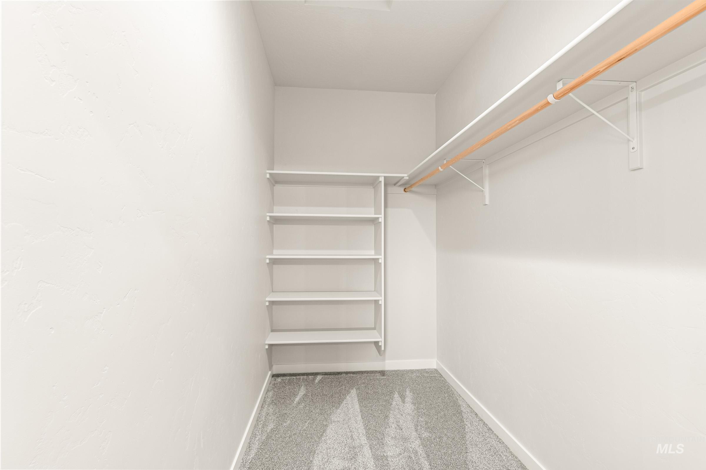Walk-in closet featuring built-in shelving, white walls, light gray carpet, and a wooden hanging rod