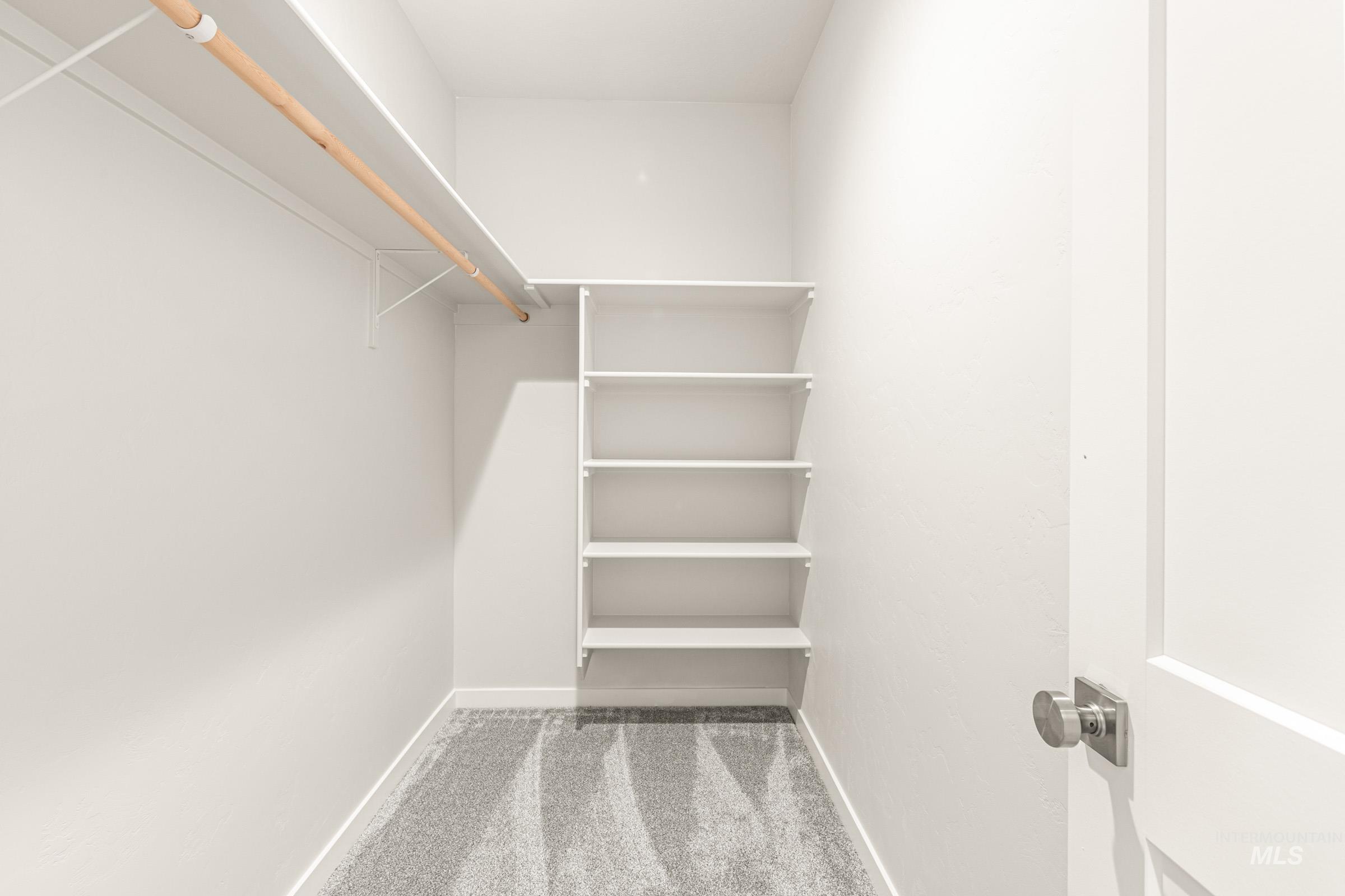 Walk-in closet featuring built-in shelving, a wooden hanging rod, white walls, and grey patterned carpeting