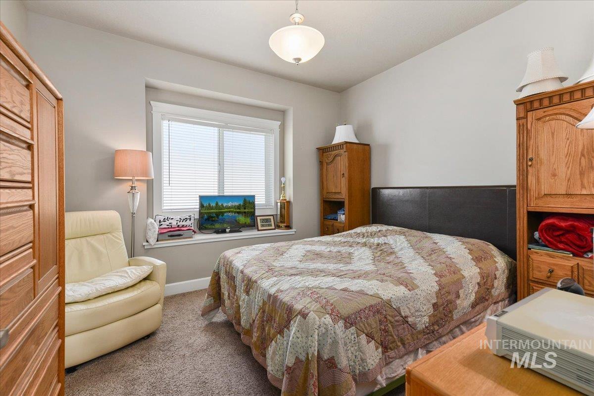 Carpeted bedroom featuring a large window with blinds, a dark upholstered headboard, and a ceiling-mounted light fixture