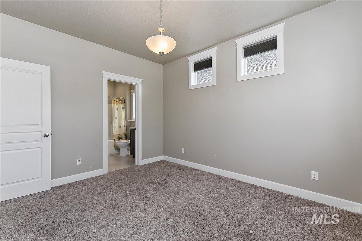 Spacious room featuring gray carpet flooring, light gray wall paint, and white trim