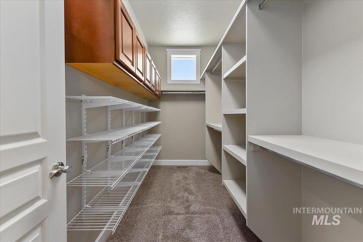 Walk-in closet featuring built-in shelving, hanging rods, upper cabinetry, a window, and carpet flooring
