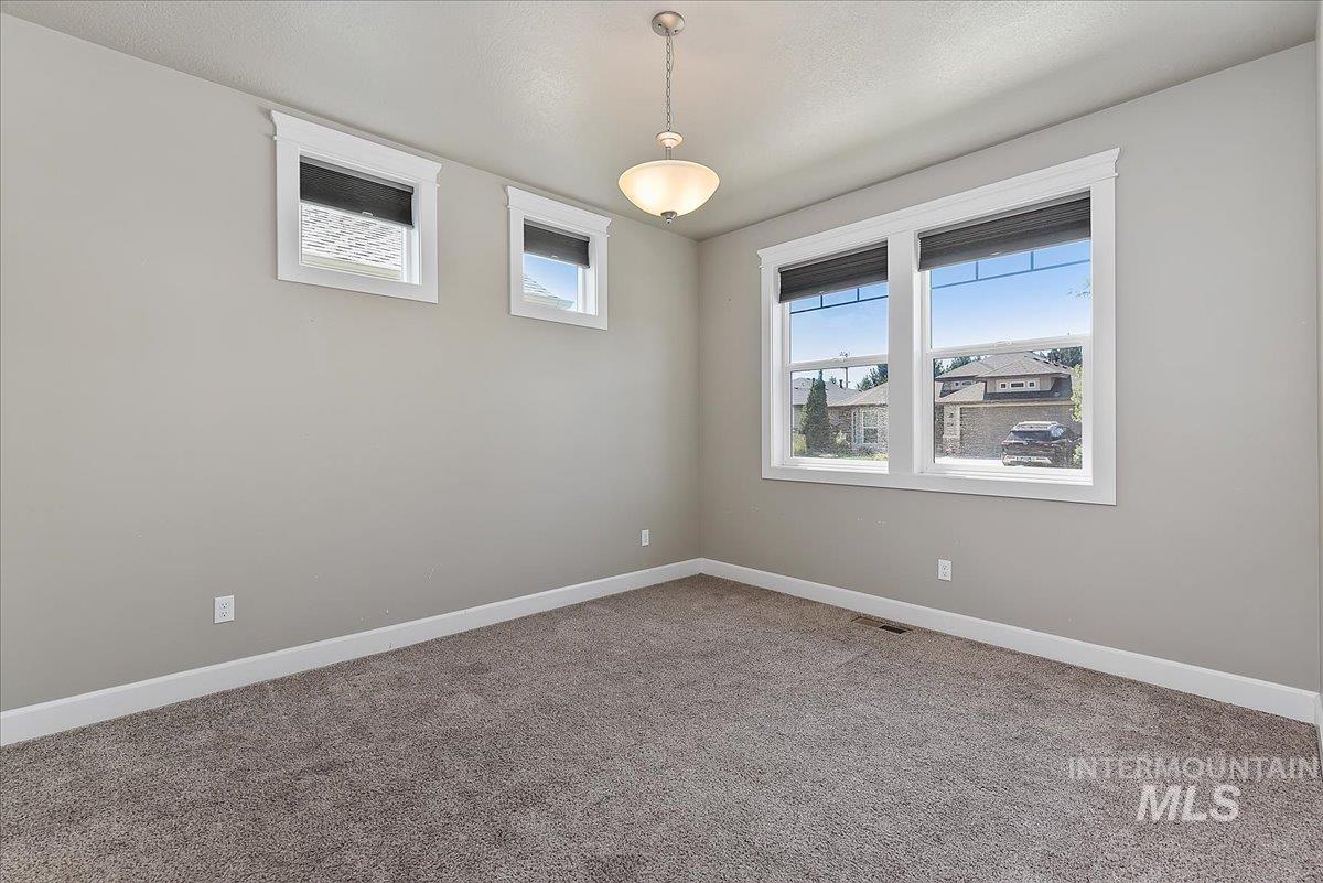 Carpeted room featuring light gray walls and white trim