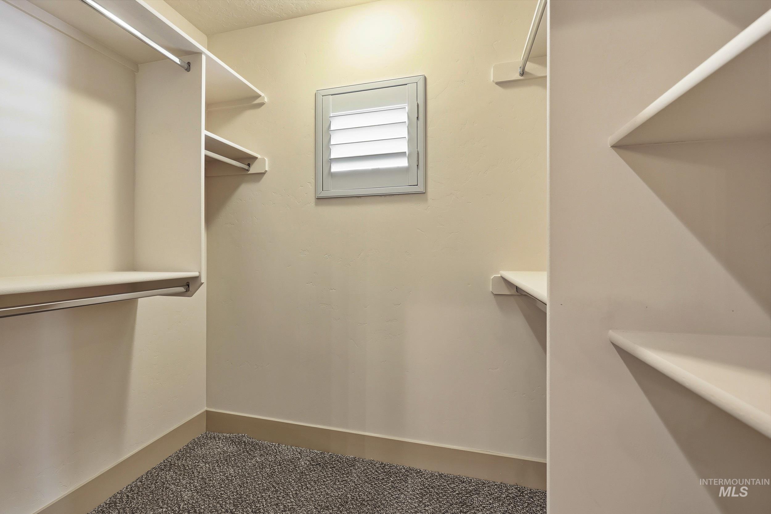 Walk in closet featuring carpet floors