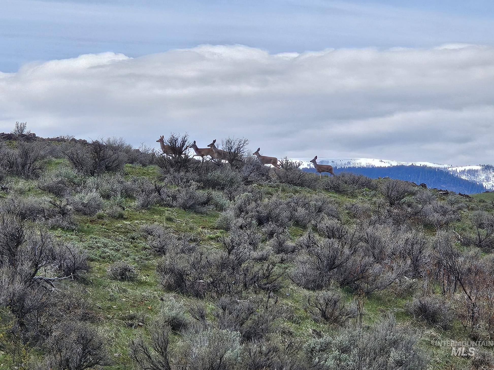 TBD Airport Rd, Council, Idaho image 13