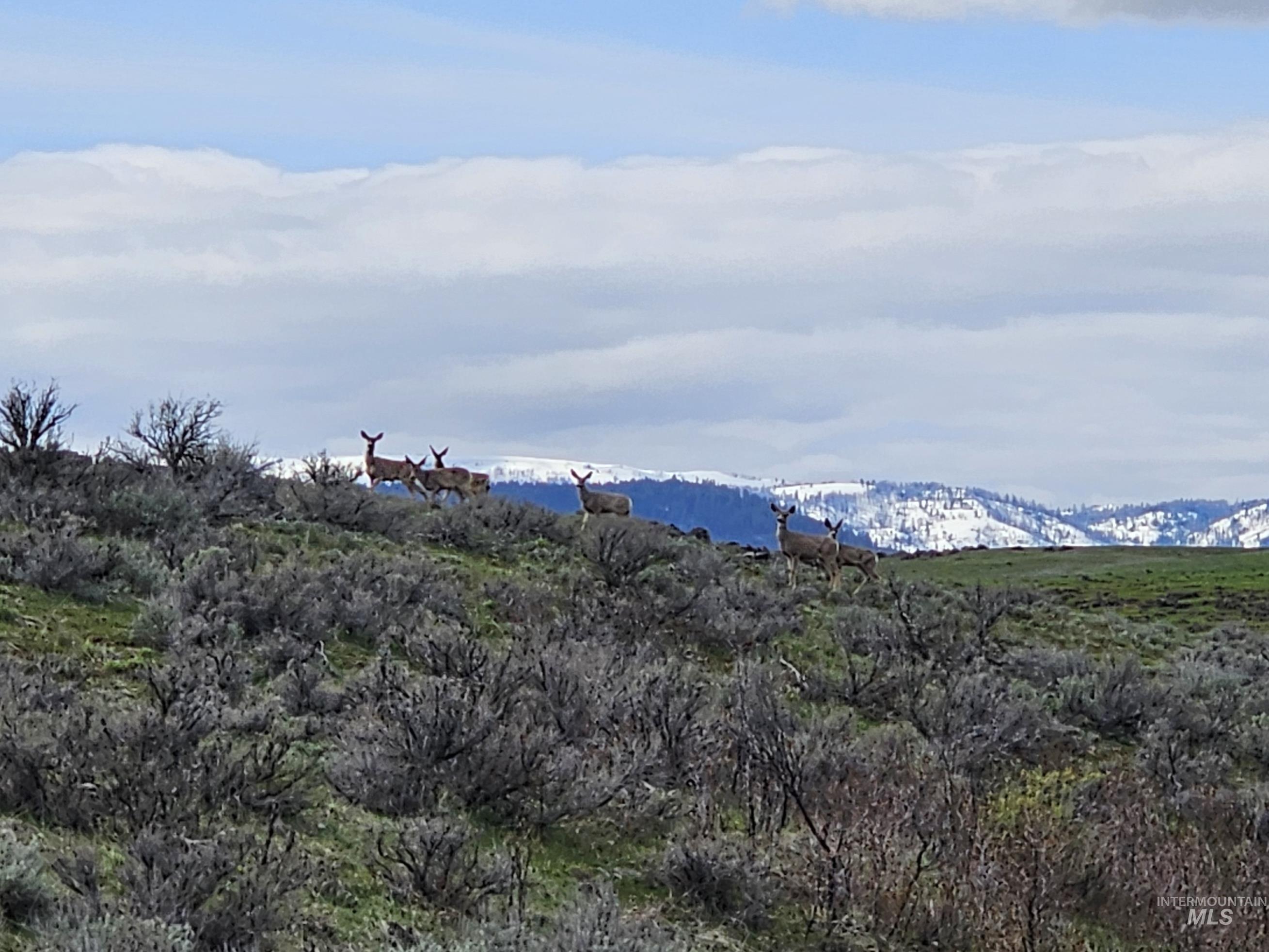 TBD Airport Rd, Council, Idaho image 12