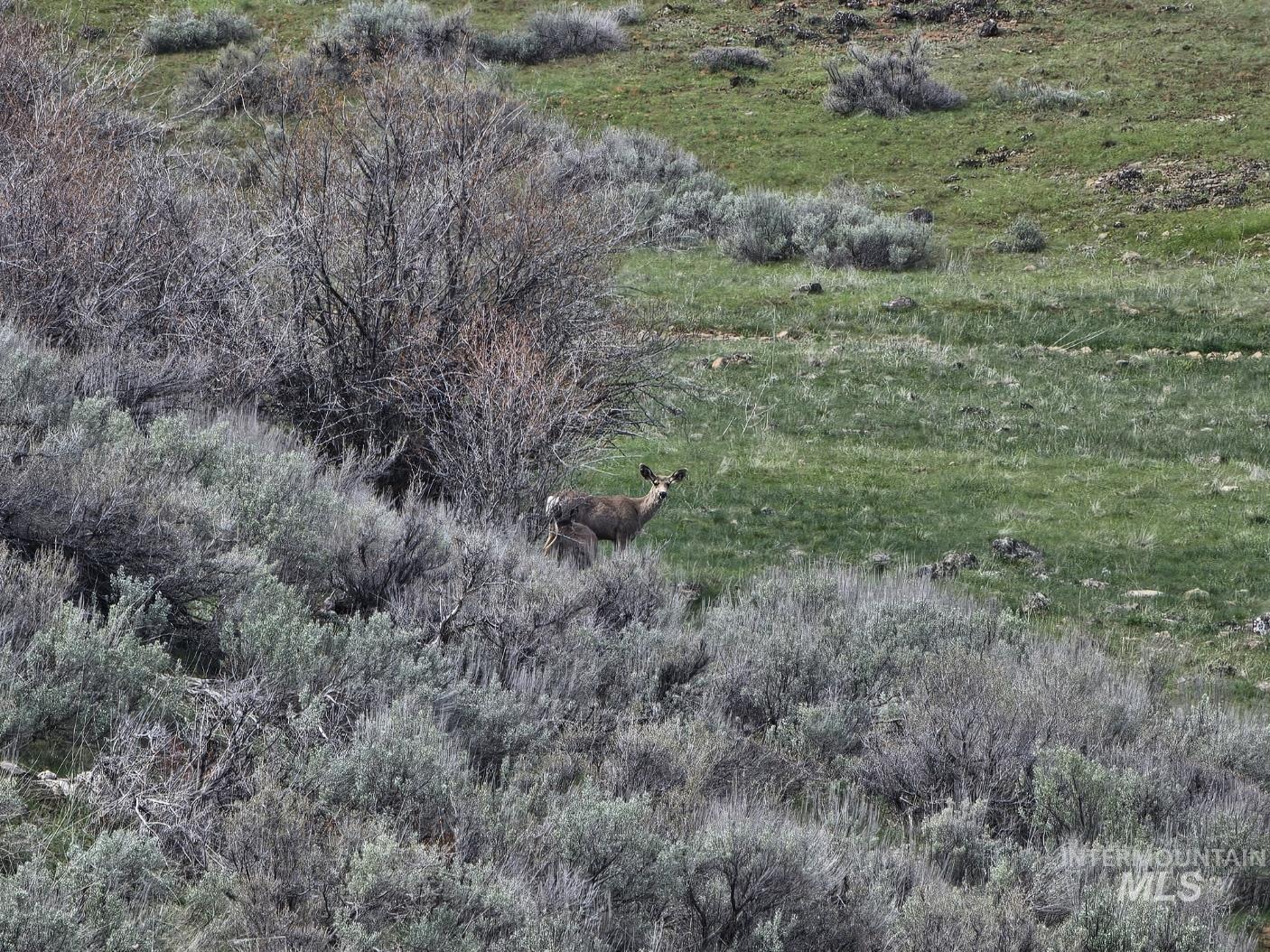 TBD Airport Rd, Council, Idaho image 11