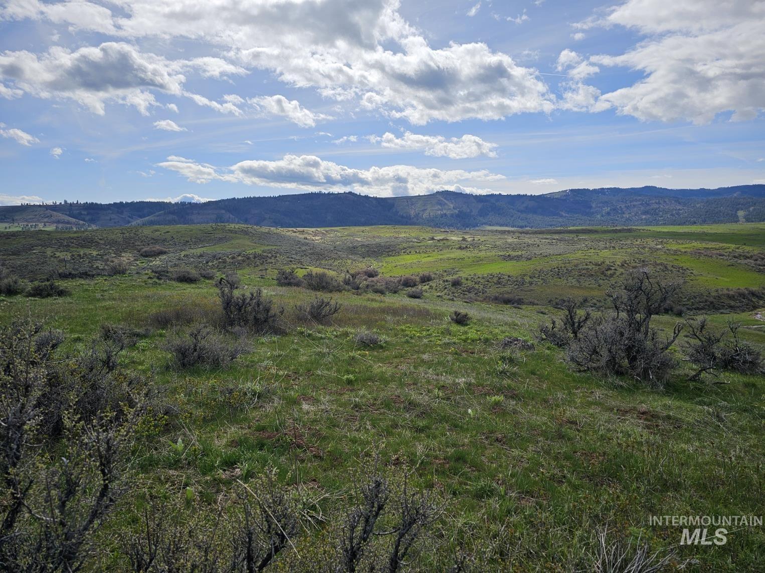 TBD Airport Rd, Council, Idaho image 3