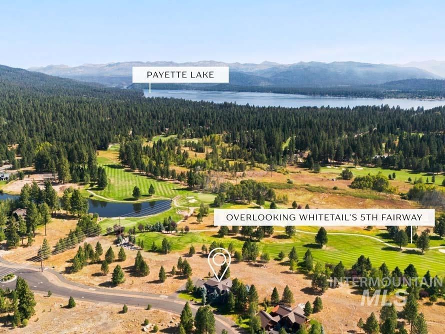 Photo of 325 Whitetail Dr, McCall, ID 83638 (MLS # 98999581)