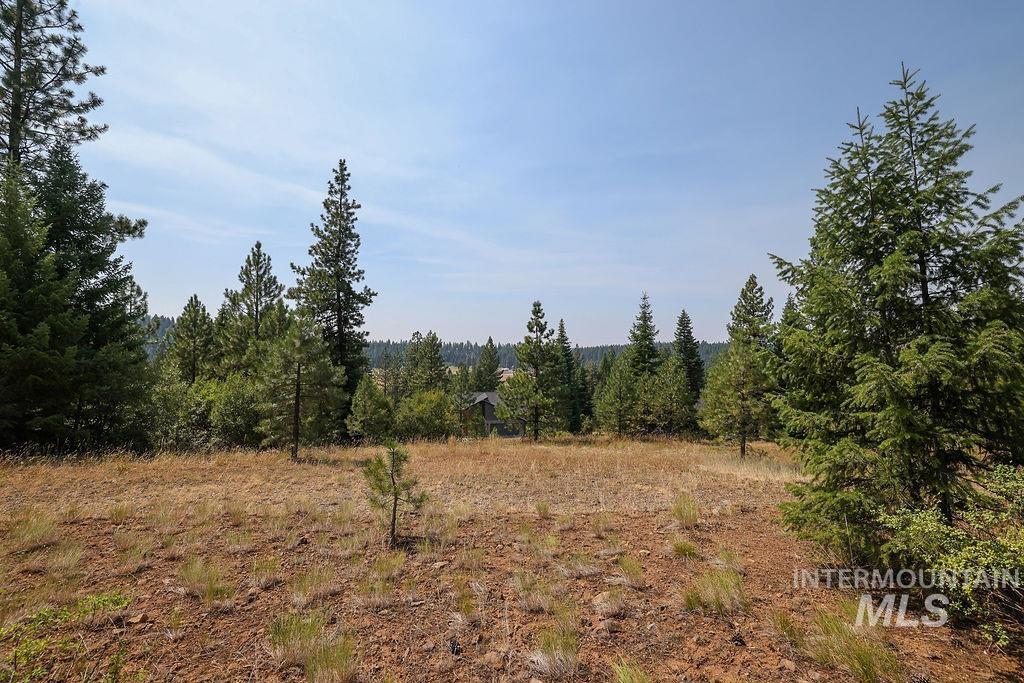 Tbd Whitfield Ln, McCall, Idaho image 16