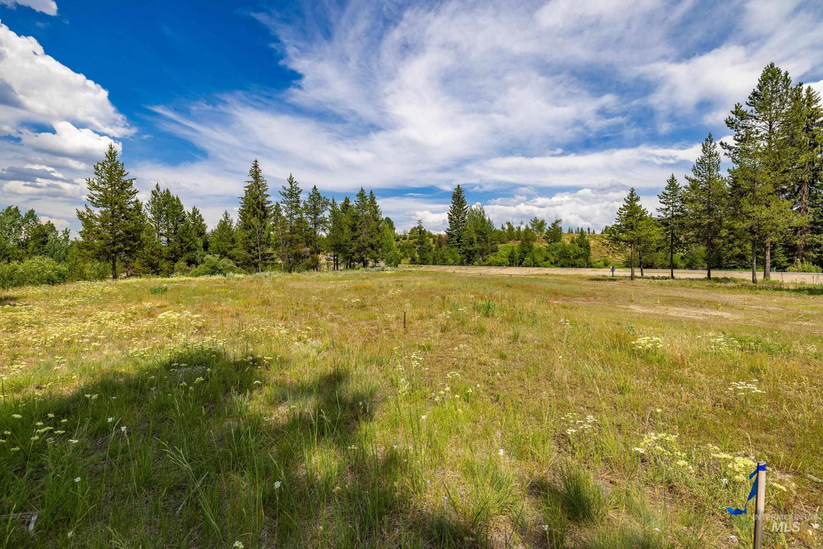 Lot 60 River Ranch Court
