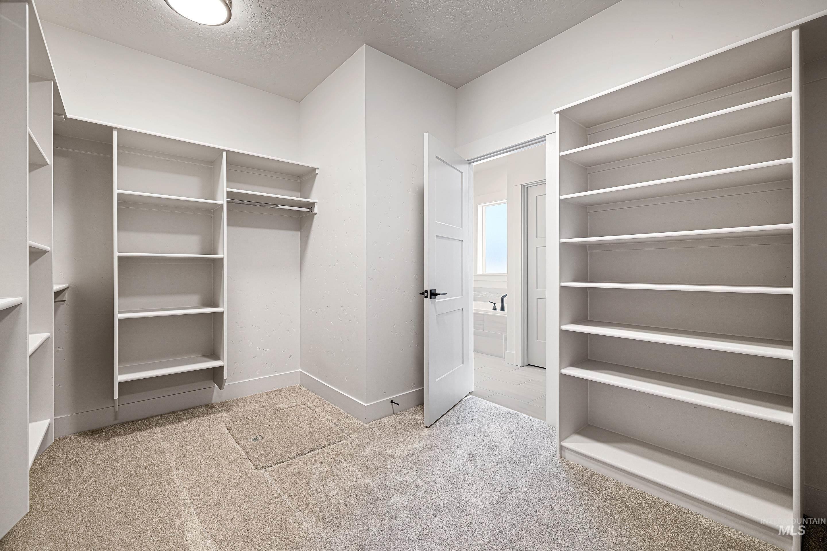 Spacious closet with light carpet
