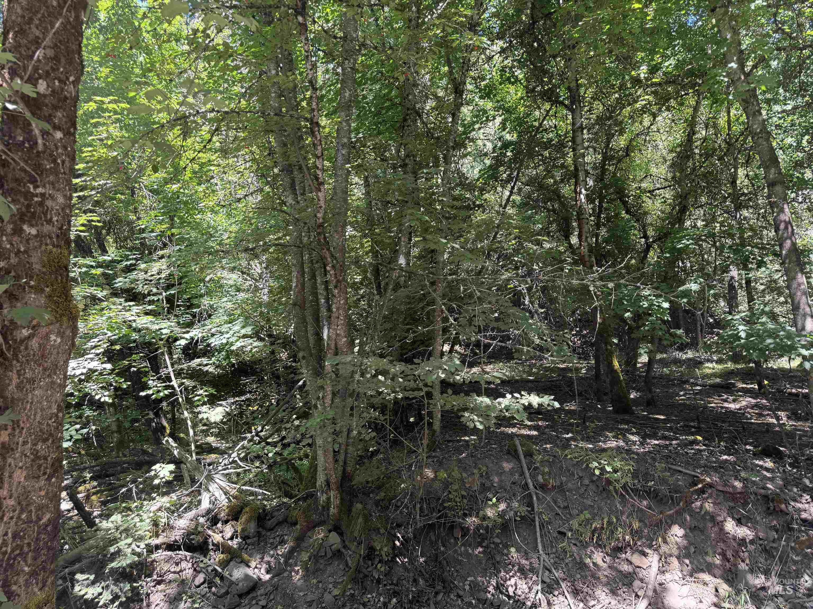 187 Deer Creek Rd