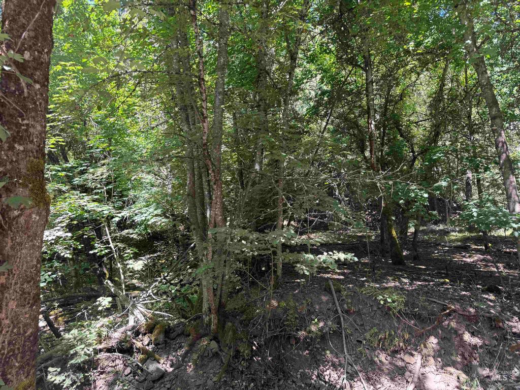 Photo of 187 Deer Creek Rd, Orofino, ID 83544 (MLS # 98964849)