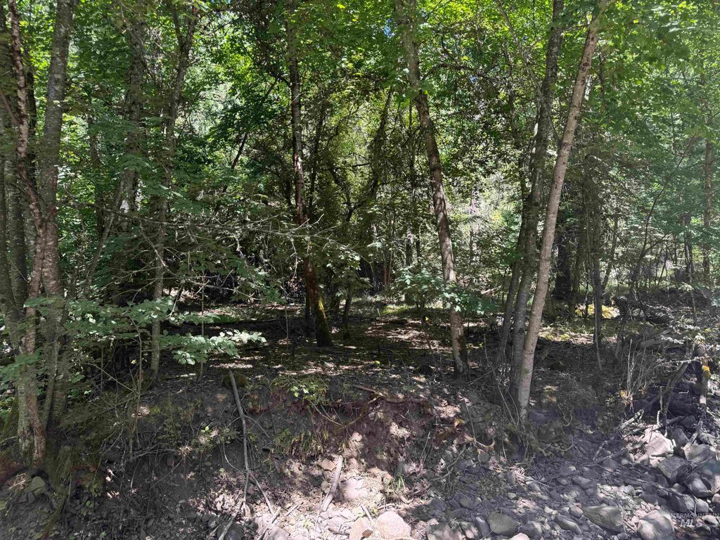 Photo of 187 Deer Creek Rd, Orofino, ID 83544 (MLS # 98964849)