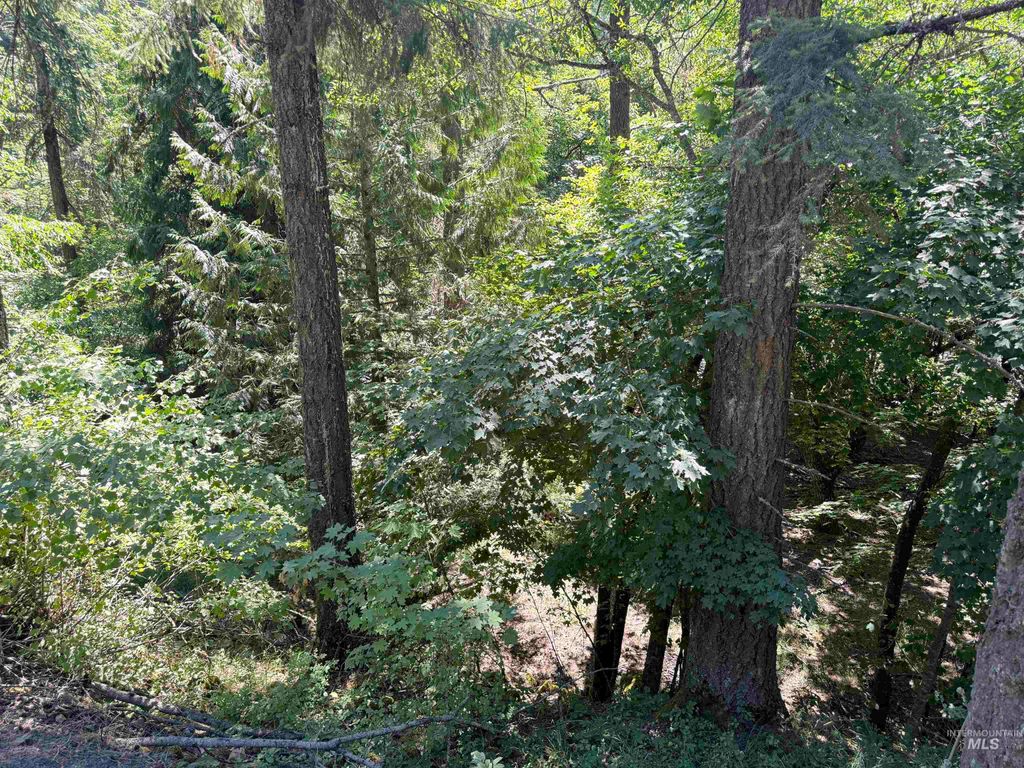 Photo of 187 Deer Creek Rd, Orofino, ID 83544 (MLS # 98964849)