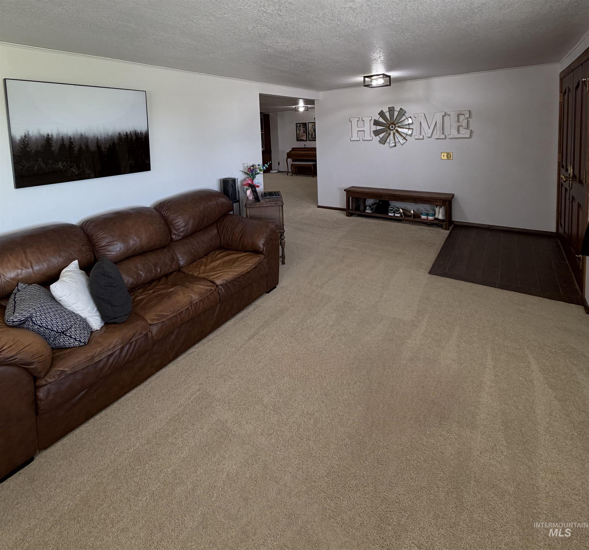 Open-concept living space with light-toned carpeting