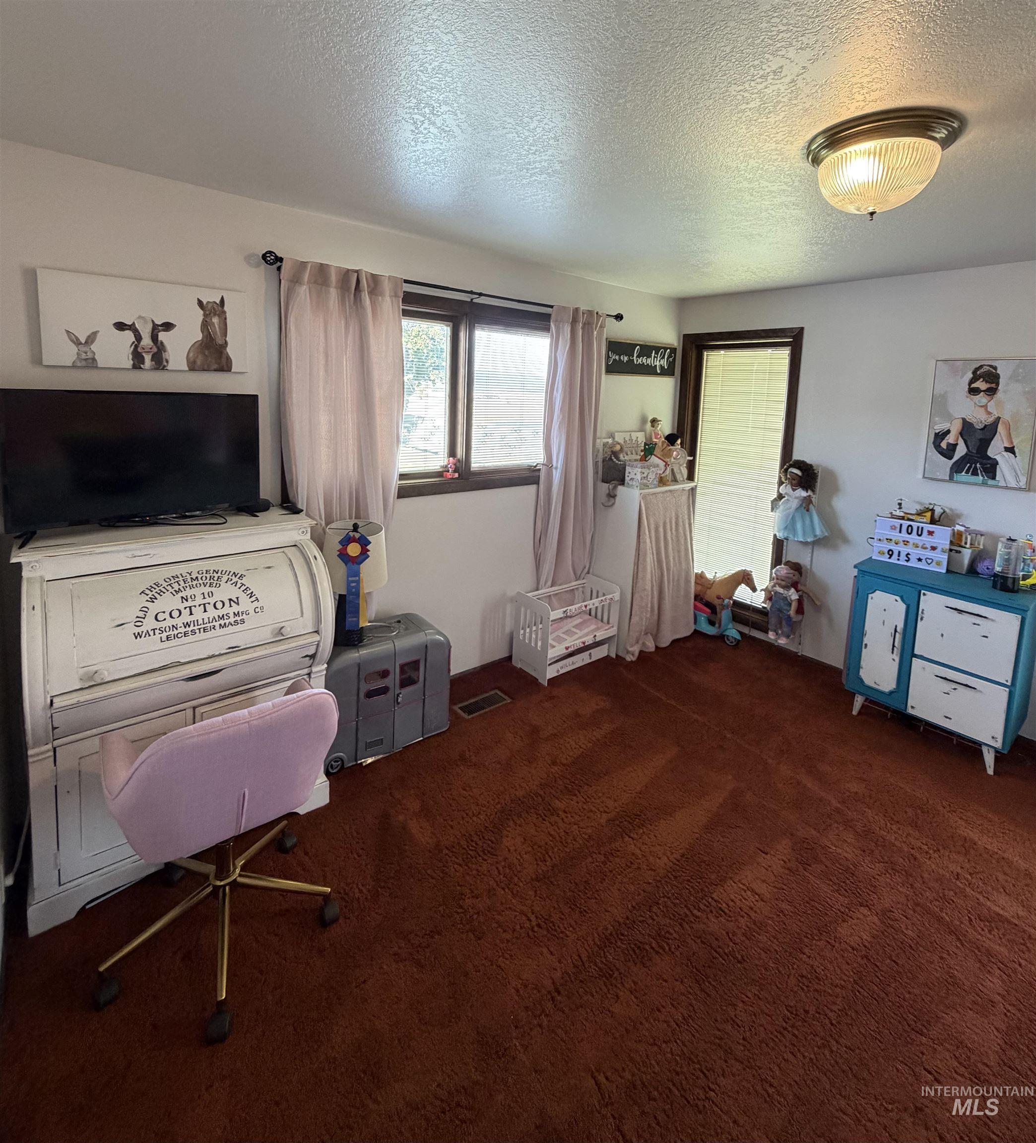 Carpeted interior space featuring white walls and a ceiling-mounted light fixture