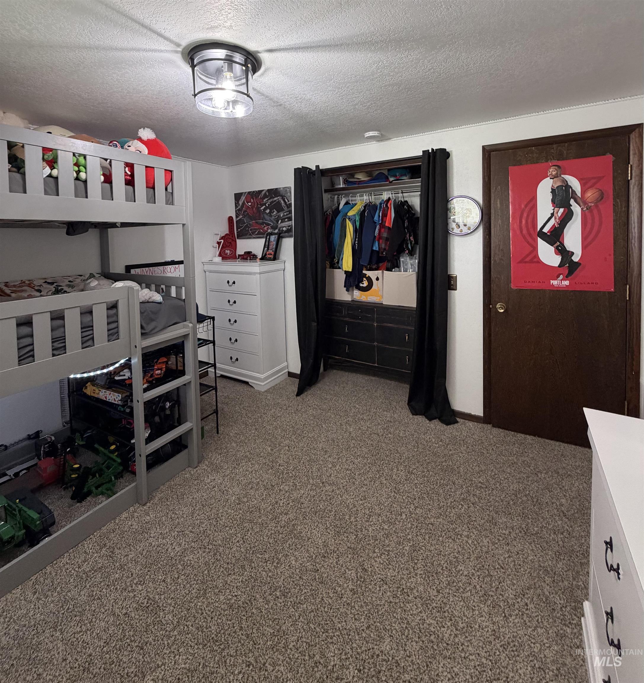 Plush carpeted flooring anchors this room, complemented by a semi-flush mount ceiling light fixture