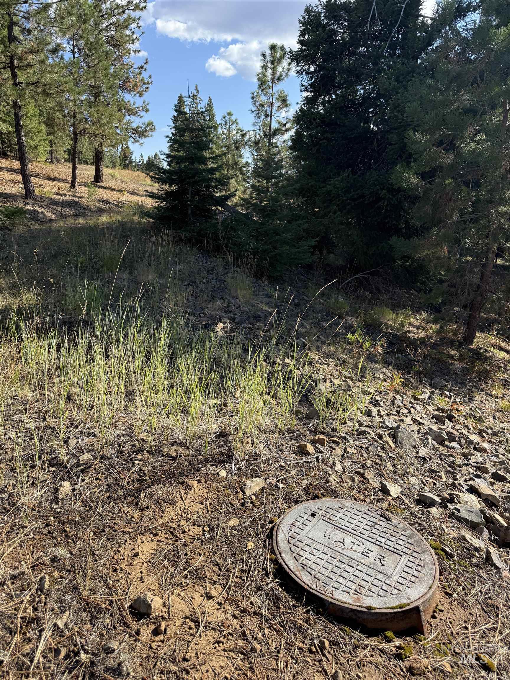 View of undeveloped land