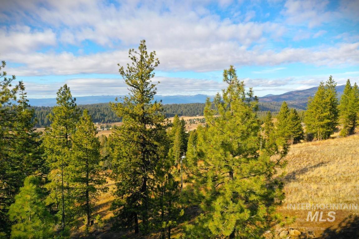 View of mountain backdrop with a heavily wooded area