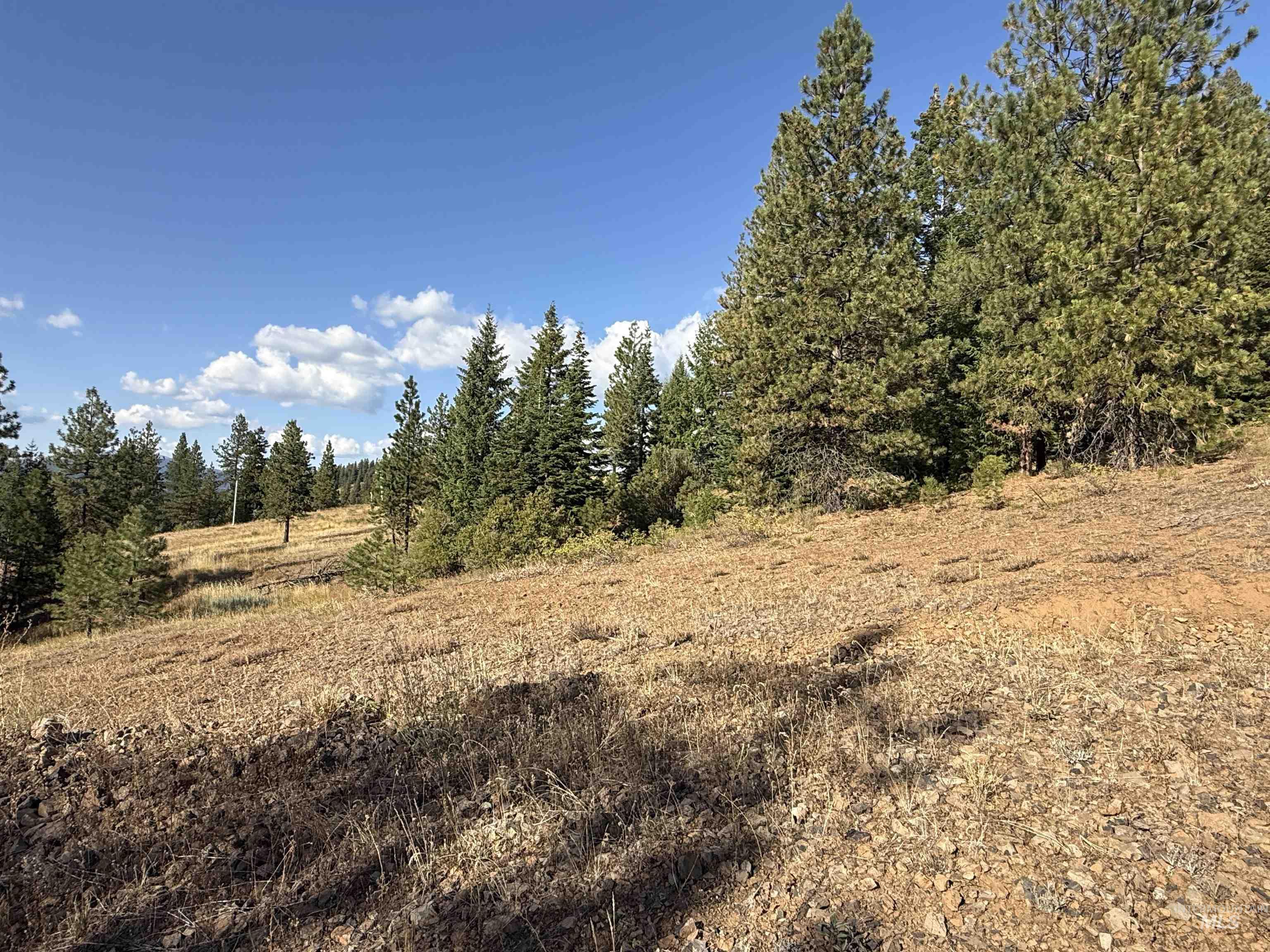 View of undeveloped land