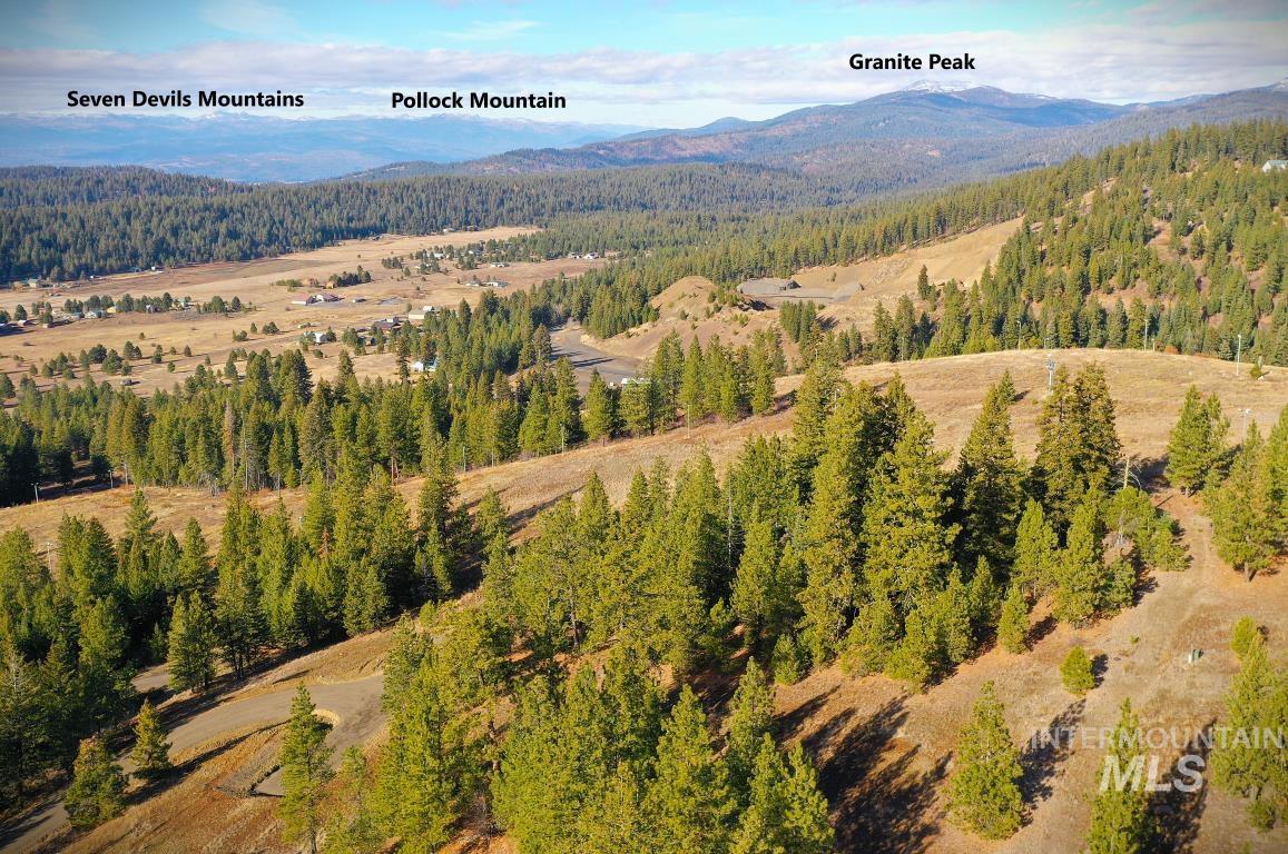 Aerial view of a heavily wooded area and mountains
