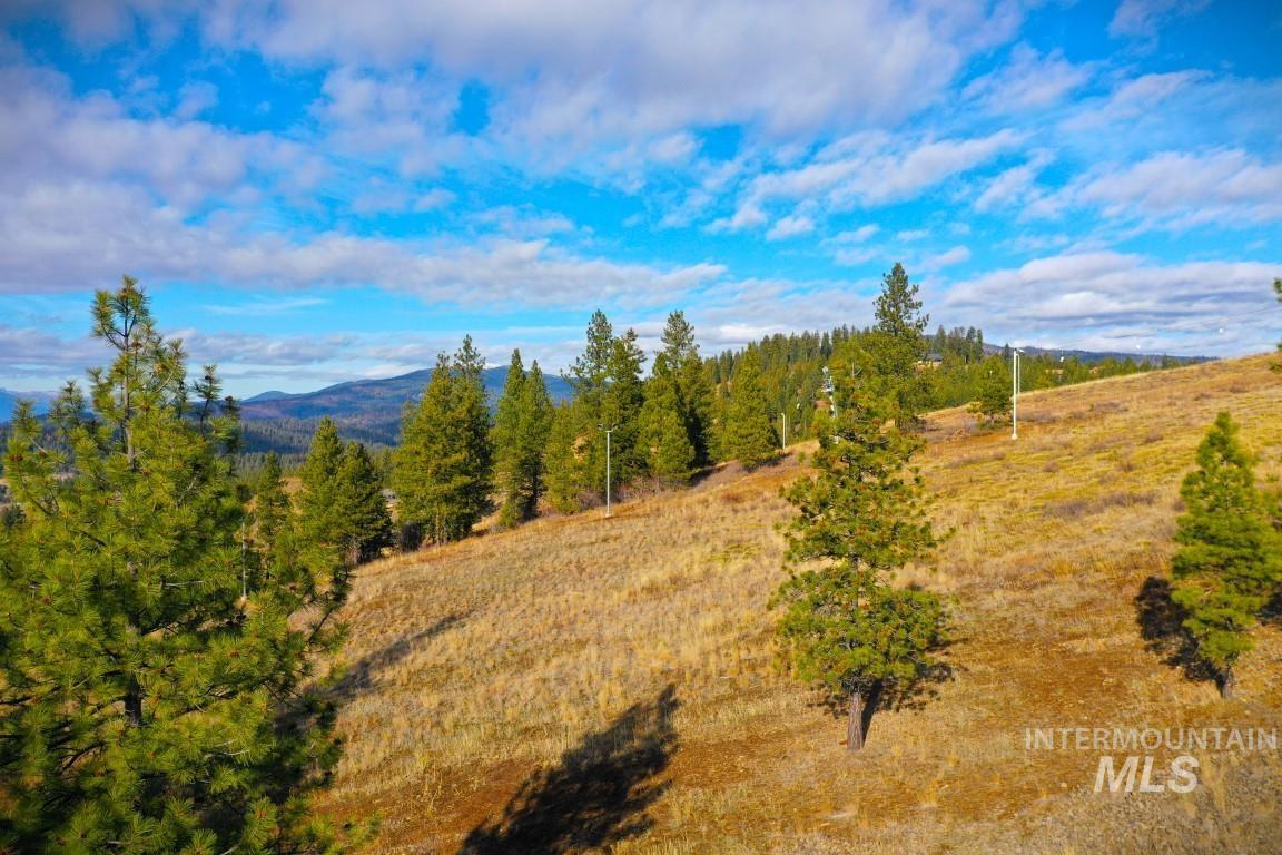 View of mountain backdrop with a heavily wooded area