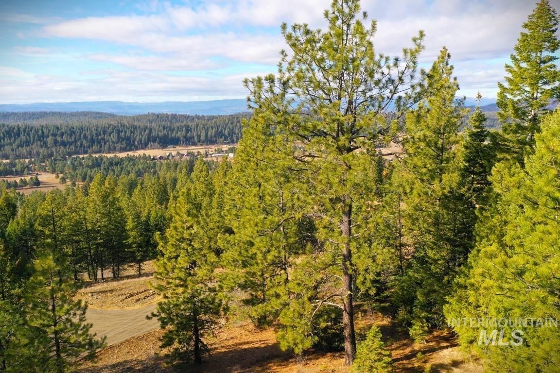 View of mountain background featuring a heavily wooded area