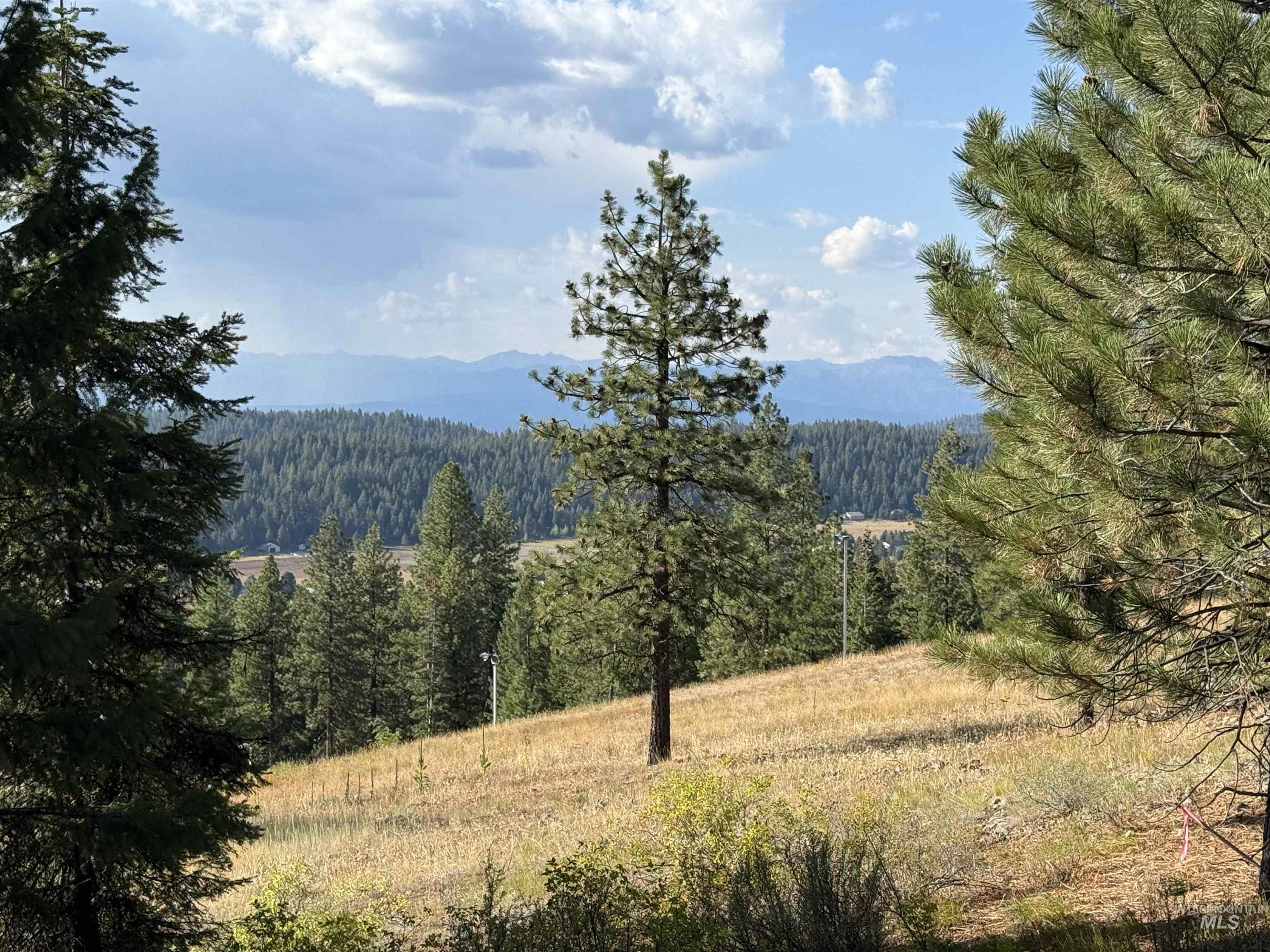 View of mountain backdrop featuring a forest