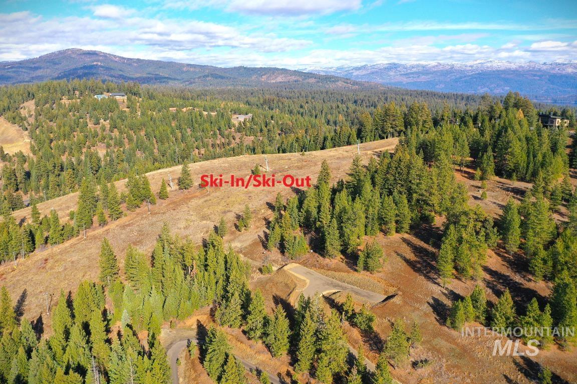 Bird's eye view of a mountainous background and a forest