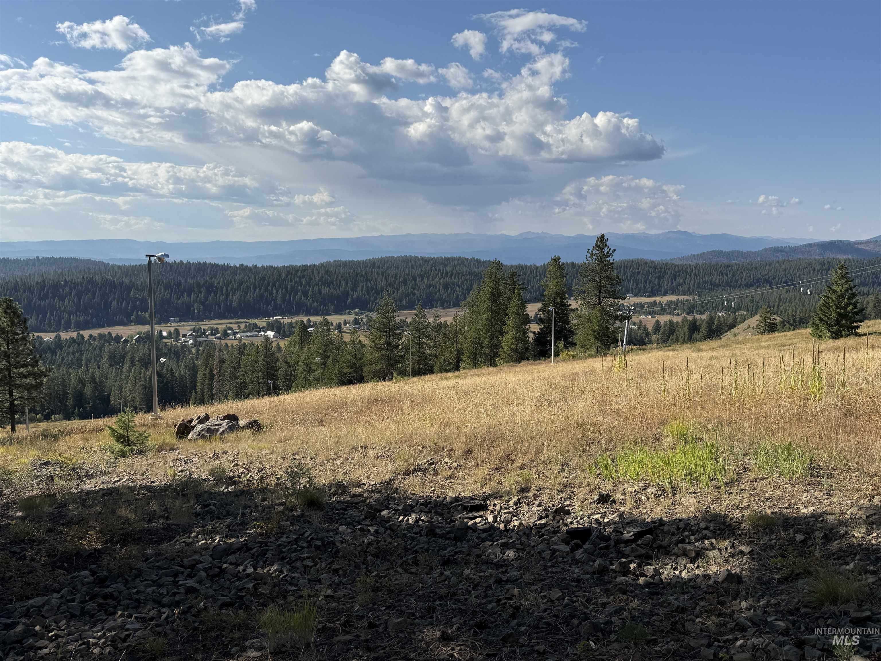 View of mountain background featuring a forest