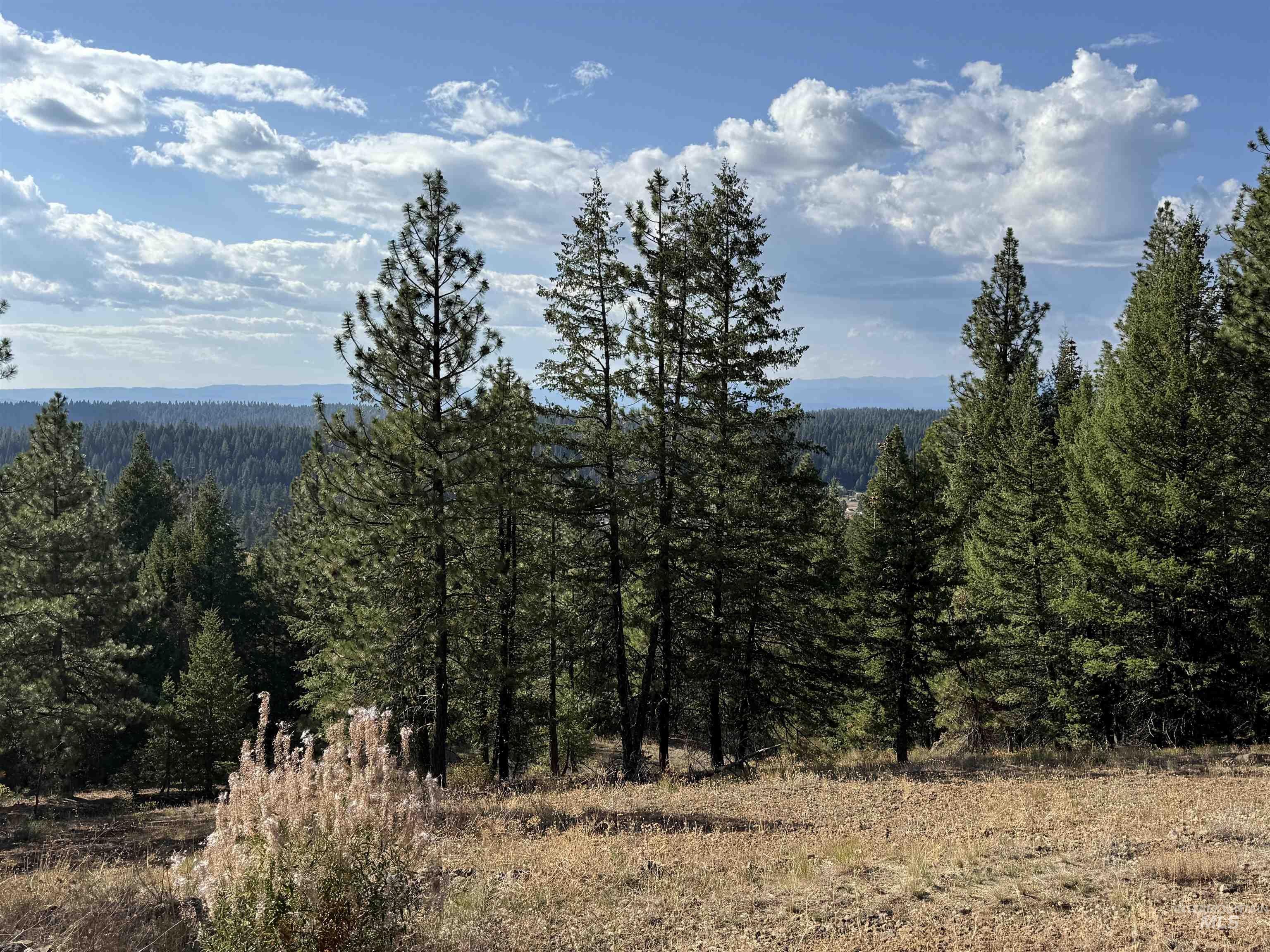 View of mountain backdrop featuring a heavily wooded area