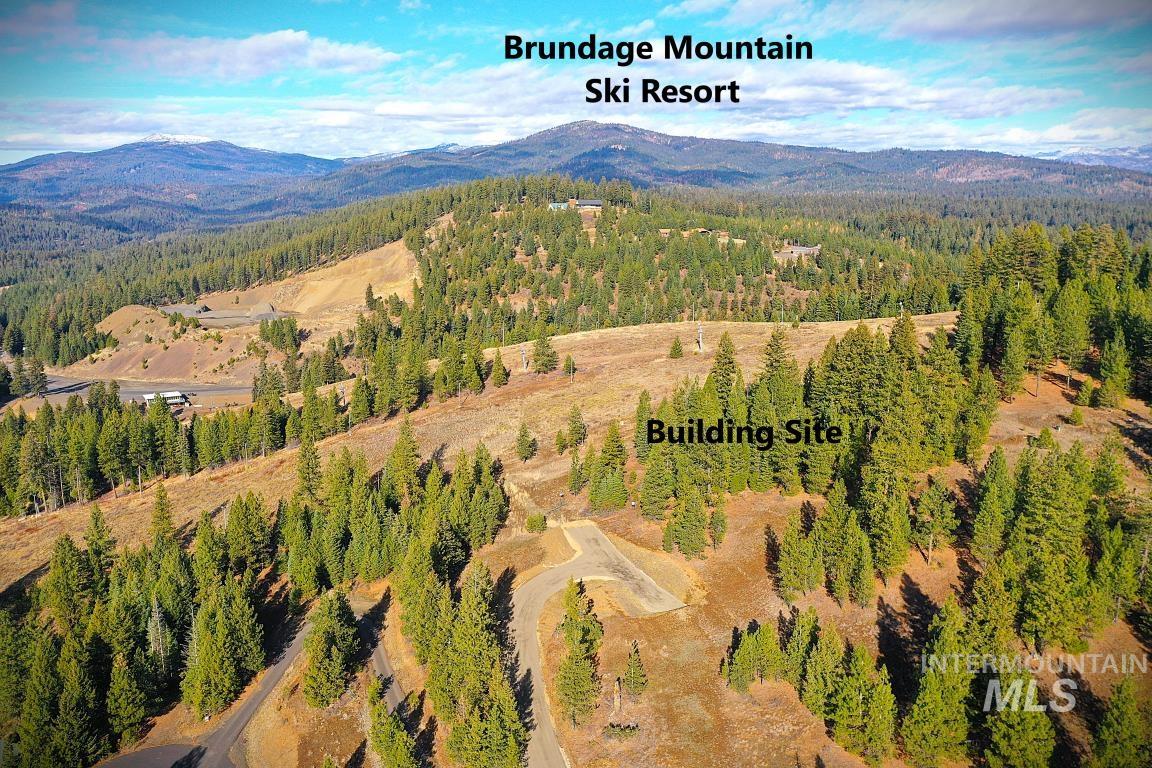 Aerial view of a mountainous background and a forest