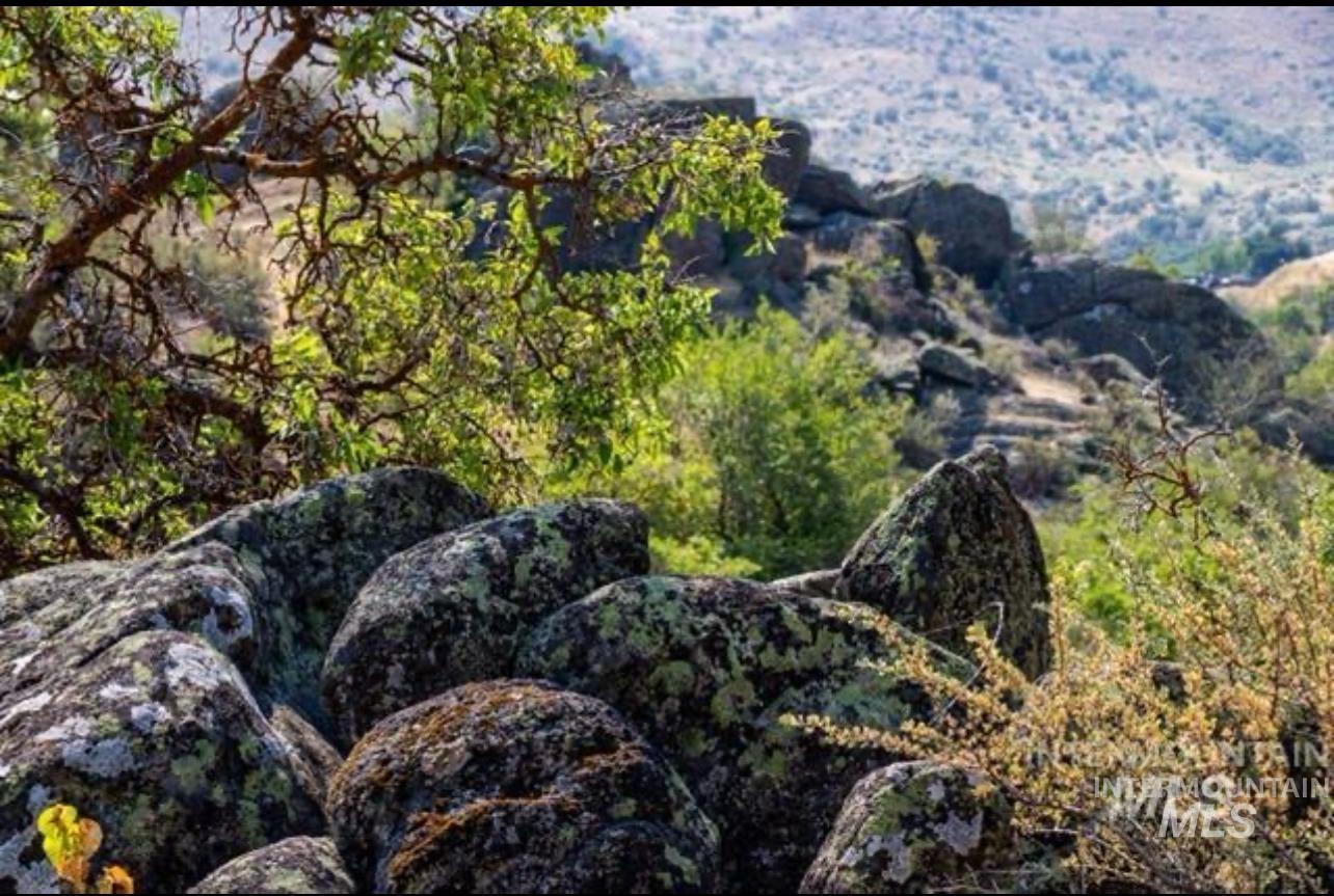 View of mountain background