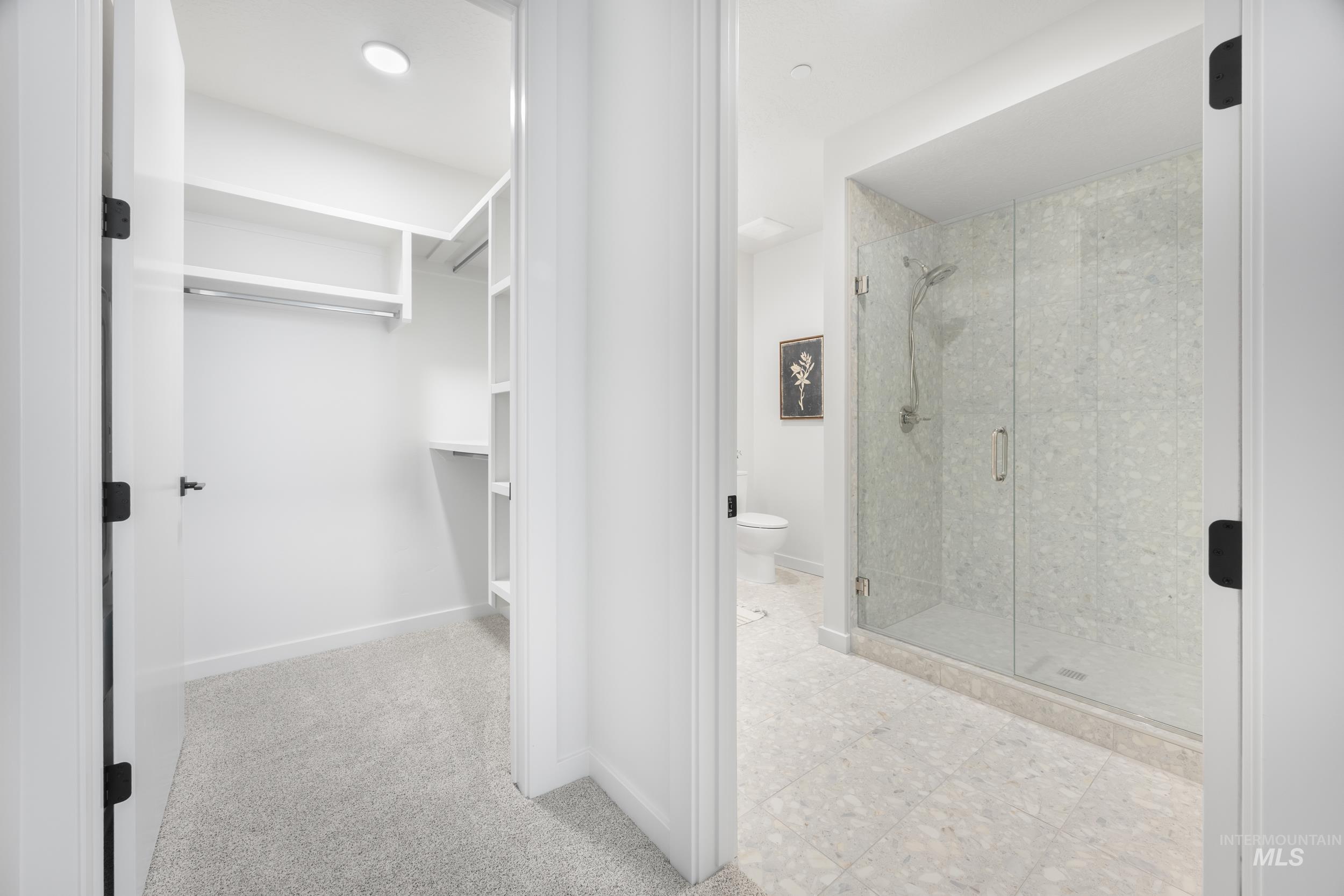 Spacious closet featuring light carpet