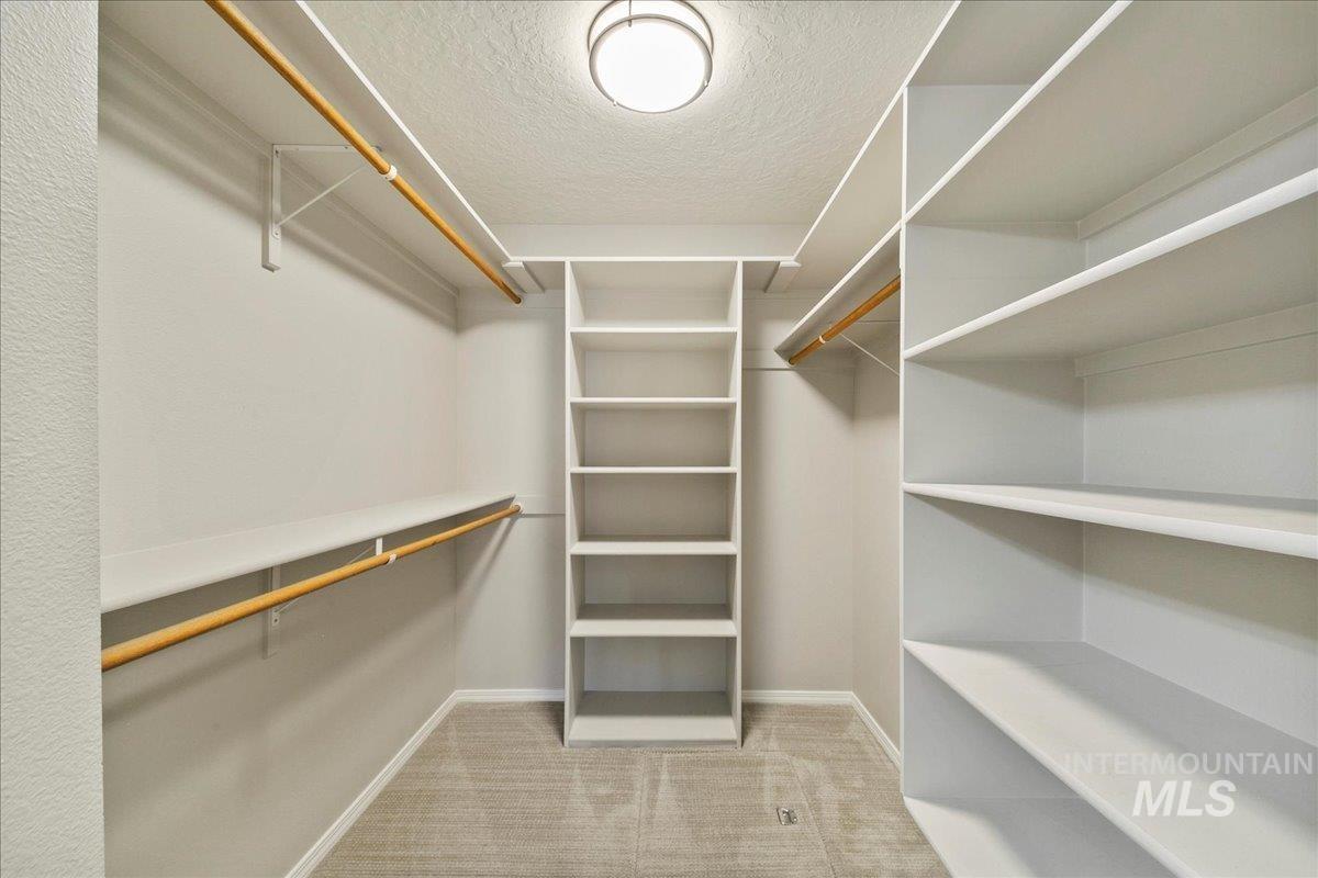 Spacious closet featuring light carpet