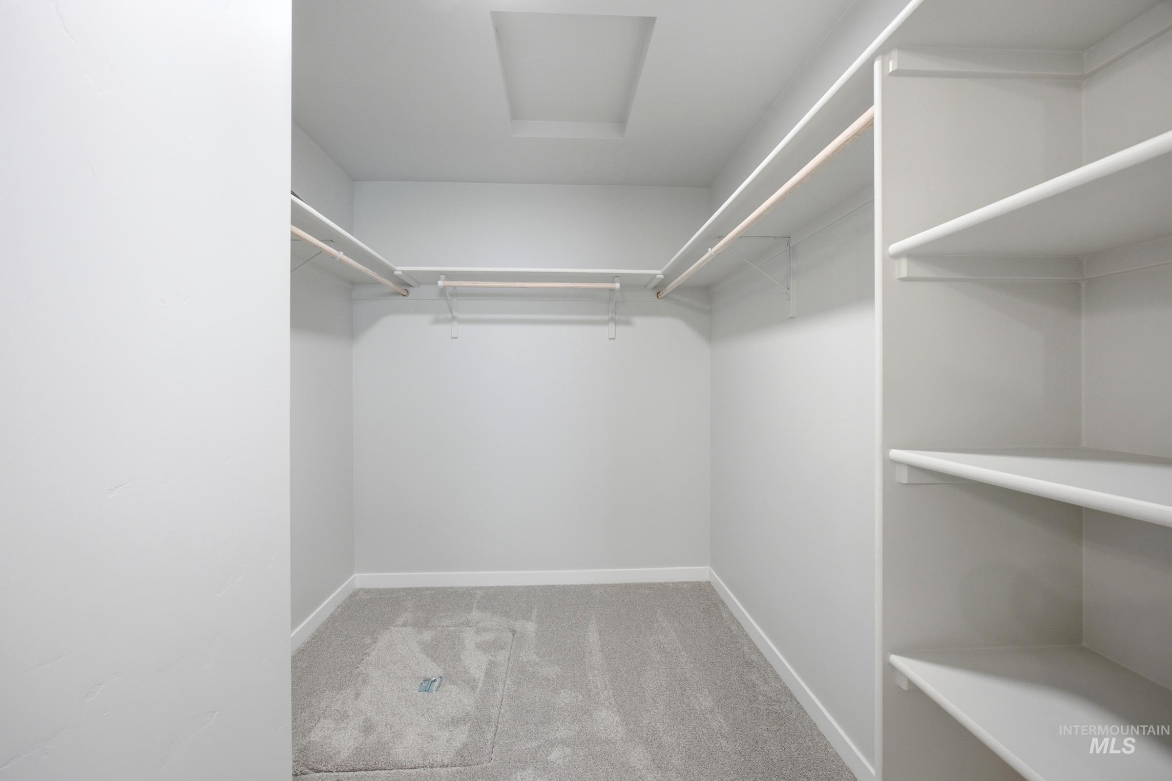 Walk-in closet featuring light gray carpeting, white baseboards, multiple hanging rods, and built-in shelving