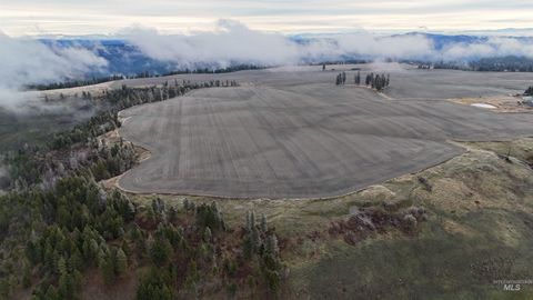 Photo of 2439 Albers Rd, Nezperce, ID 83543 (MLS # 98970667)