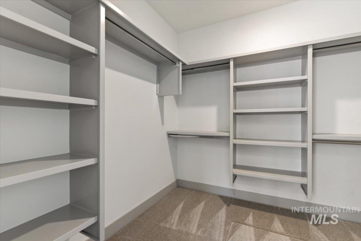 Walk in closet with light colored carpet