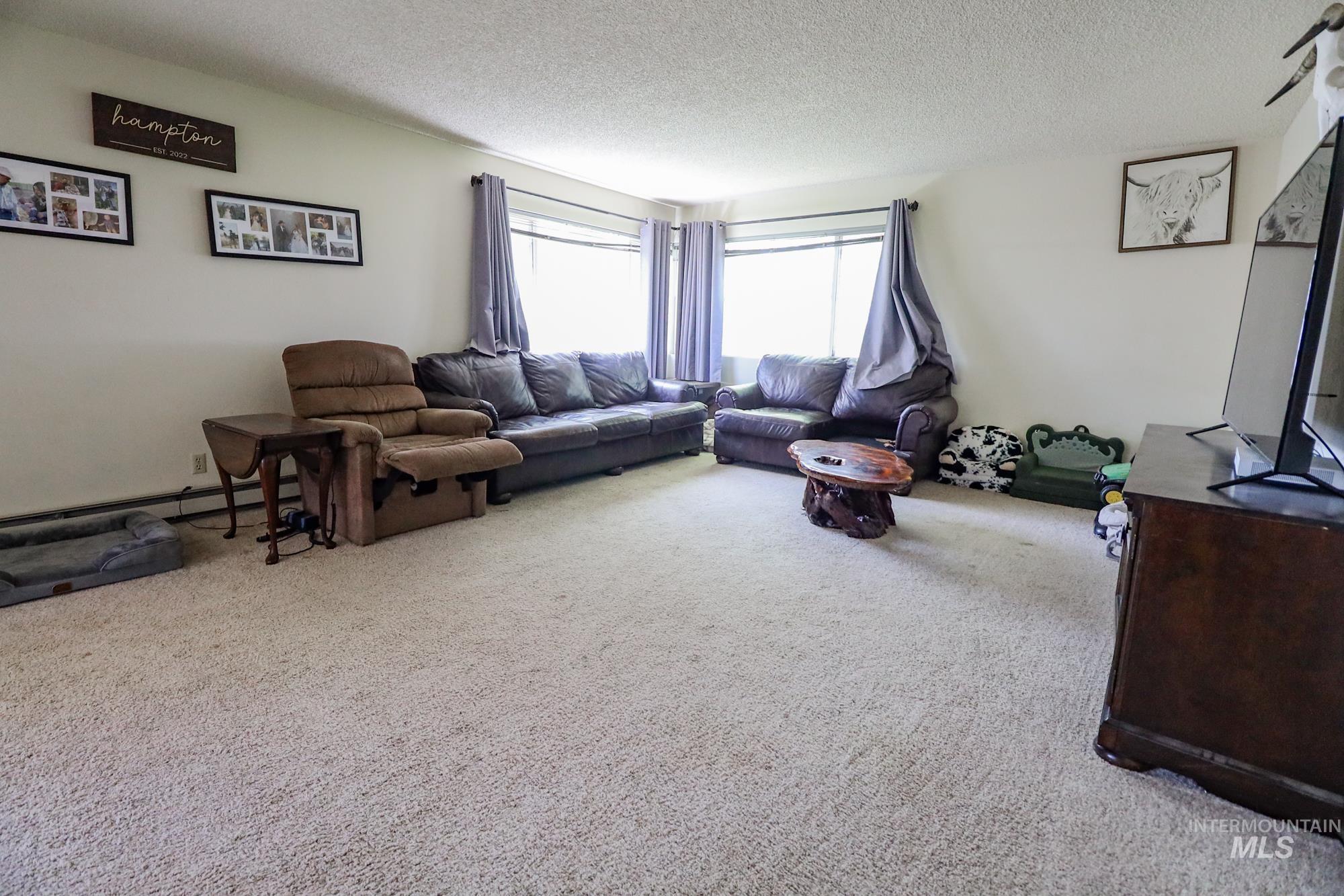 Living area featuring carpet, a textured ceiling, and baseboard heating