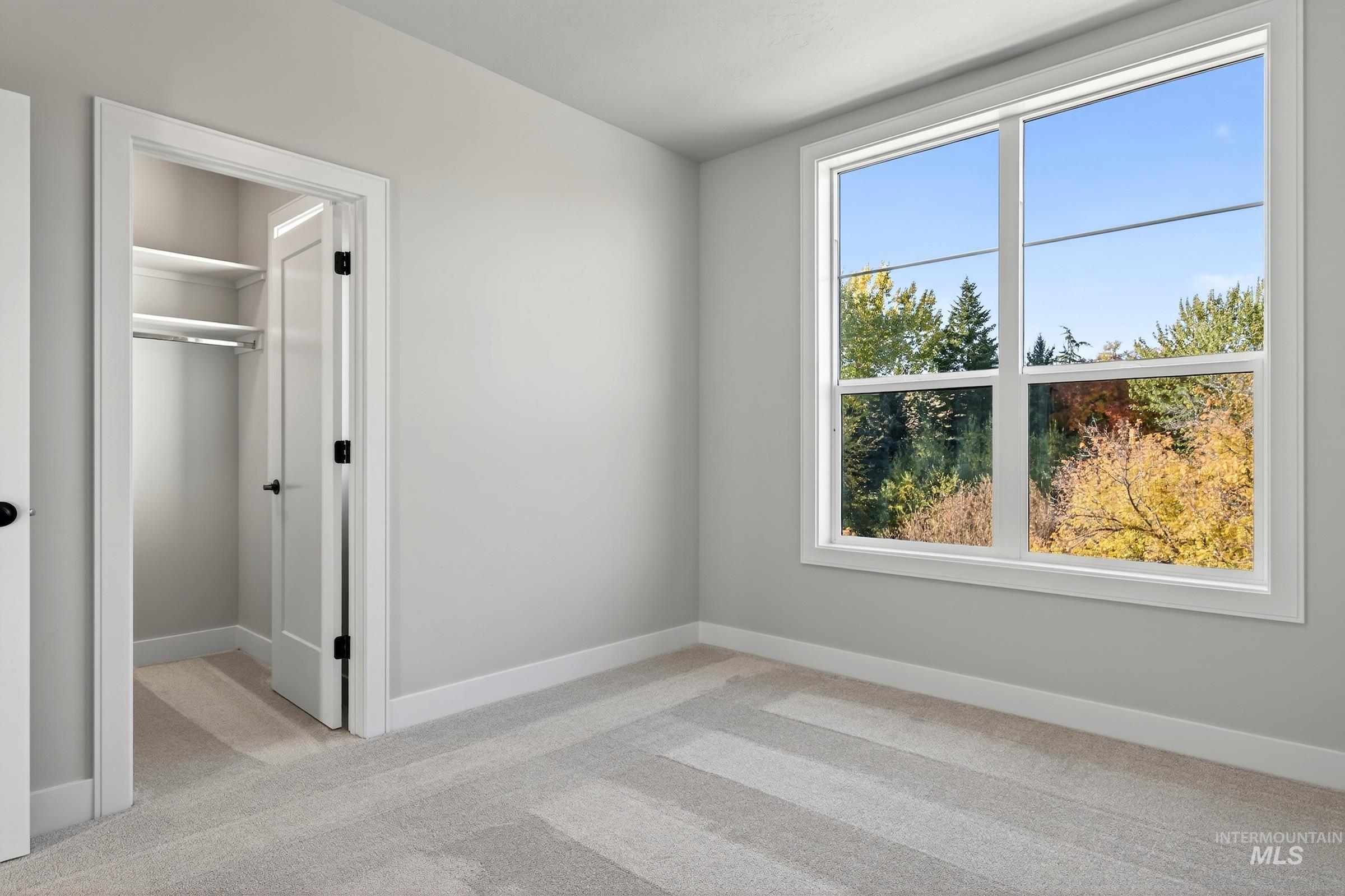 Unfurnished bedroom featuring light colored carpet and a spacious closet