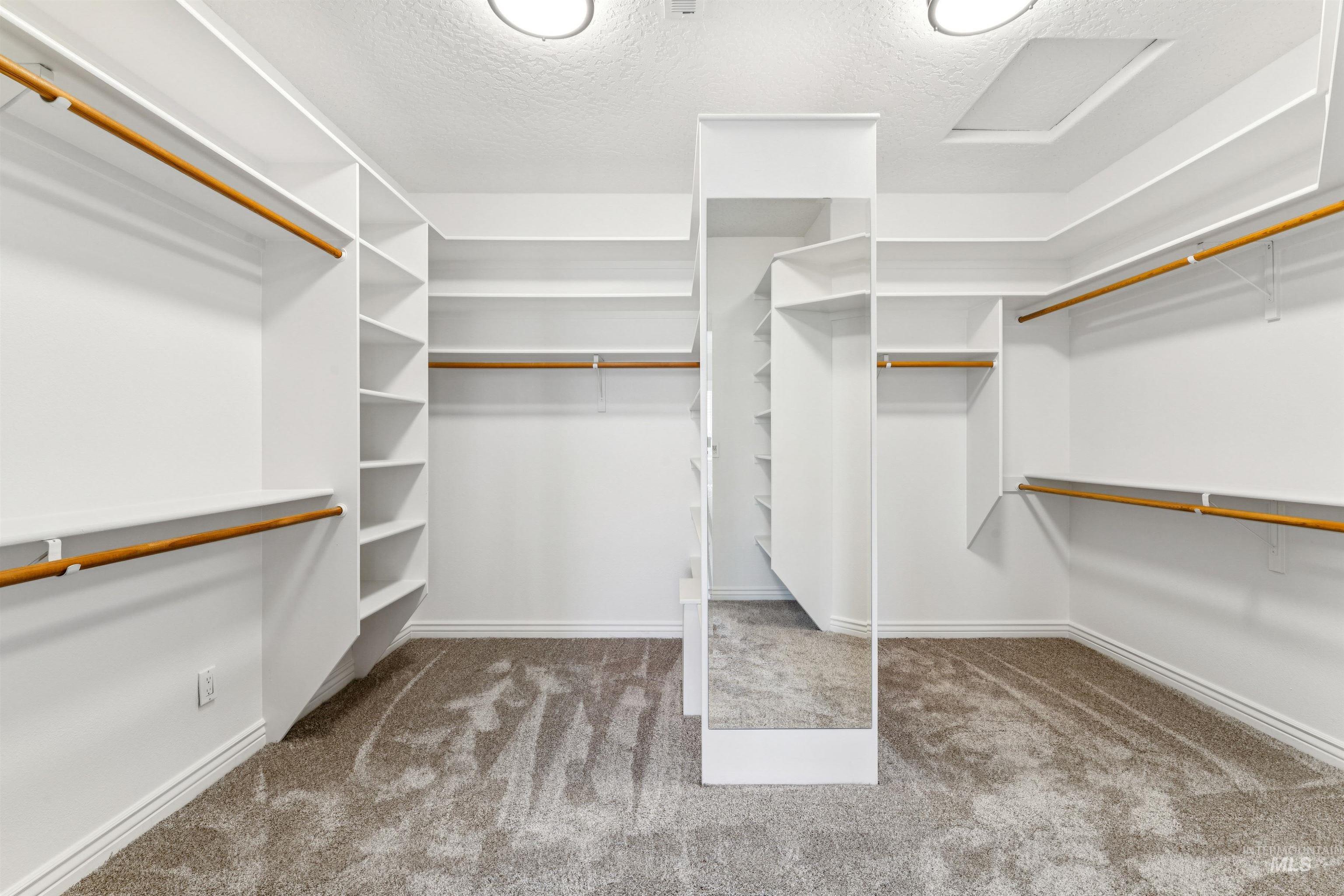 Walk in closet with light colored carpet